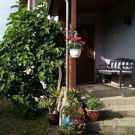 Urlaub Im Elsass Lägenhet Artolsheim Exteriör bild