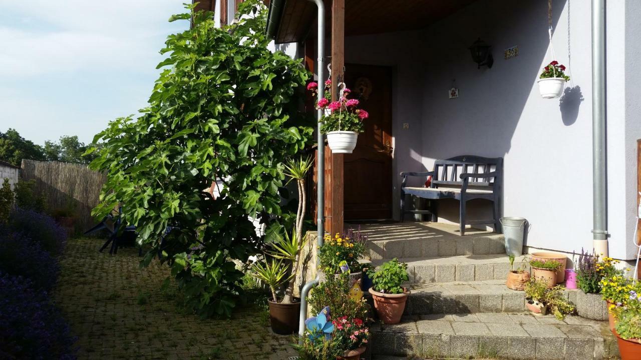 Urlaub Im Elsass Lägenhet Artolsheim Exteriör bild
