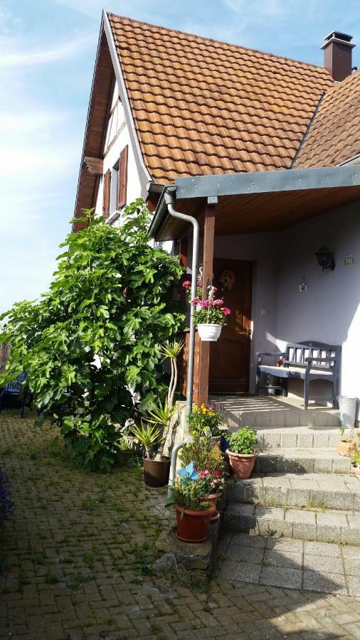 Urlaub Im Elsass Lägenhet Artolsheim Exteriör bild